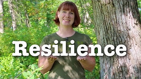 How to be (Ecologically) Resilient