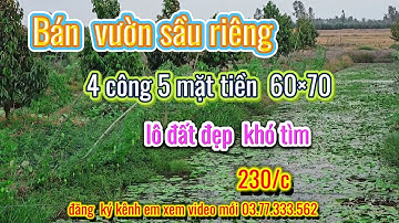 Bán  sầu riêng rẻ  béo tại mộc hóa long an, mặt tiền khủng 60×70  🏝🏝 giá  230tr/c