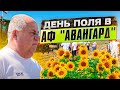 День Поля в АФ "Авангард"