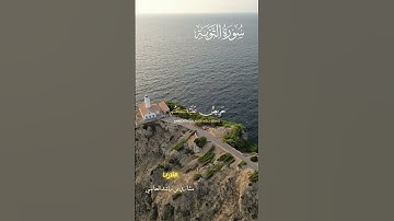 "لَقَدْ جَاءَكُمْ رَسُولٌ مِّنْ أَنفُسِكُمْ " #سورة_التوبة القارئ #مشاري_العفاسي #قرآن #صل_على_النبي