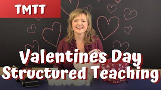 Preview of Structured Teaching Activities for Valentine's Day and Winter Therapy Guide