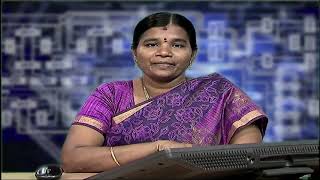 Celebrity Microprocessor - MP2 05 P 19 Net Worth