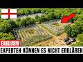 4 Bisons Wurden In Einen Sterbenden Wald Freigelassen - Was Dann Passierte ist Unglaublich