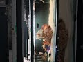 4 feet monster aquarium fish tank set-up 2026 🐠🐟 #exoticaquariumfish #aquariumfun #amazingaquarium