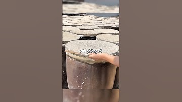 Những thùng rượu vang 200 năm tuổi của ông nội anh chàng này 🥰