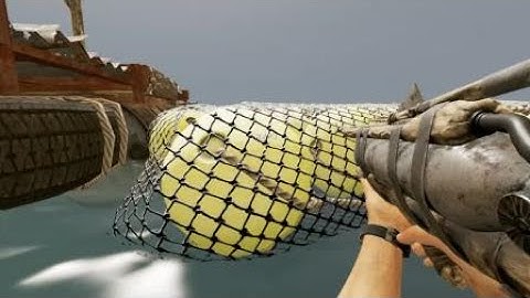 Killed the Giant Squid