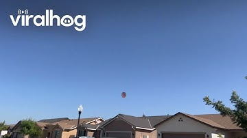 Paraplu met een eigen wil || ViralHog