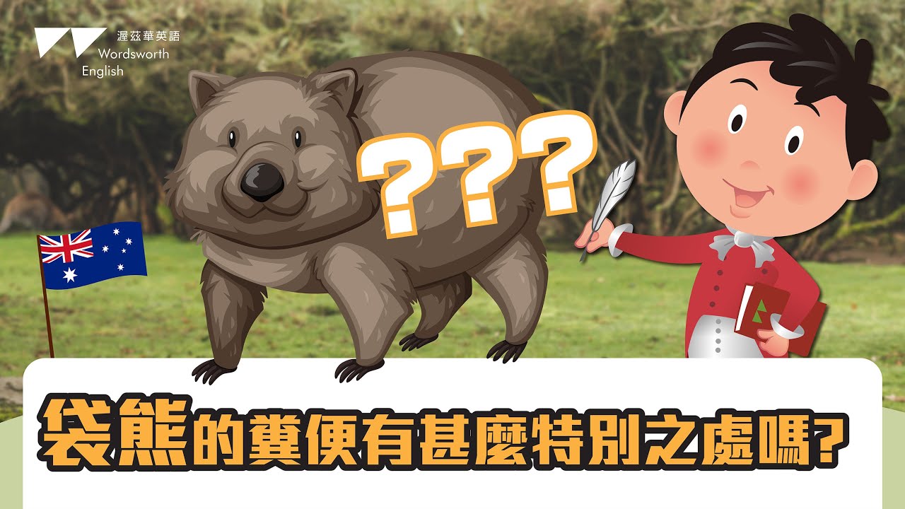 【渥茲華英語】- 威廉小百科 知識篇