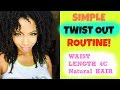 Simple Twistout Waist Length 4c Natural hair