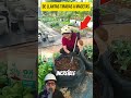 De llantas tiradas a macetas increíbles 😮 #Reciclaje #IdeasCreativas #Macetas