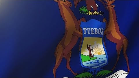 Michigan Flag Waving In The Wind. Looping Sun Rises Style. Animation Loop Stock Animation