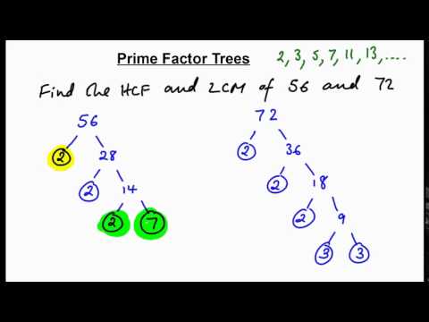 Prime factor trees - finding HCF + LCM (N)