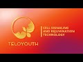 Teloyouth cell signaling and rejuvenation technology