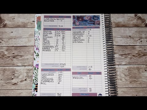 Paycheck Budget Check-in | Expense Tracker & Weekend Spending