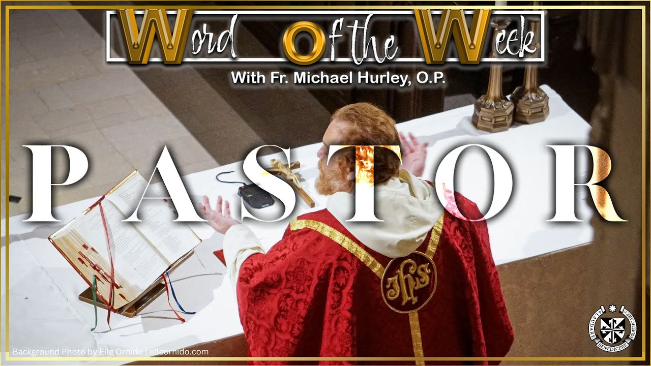 Word of the Week: Pastor | Fr. Michael Hurley, OP - YouTube