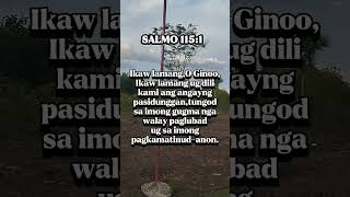 Bible verse in bisaya version