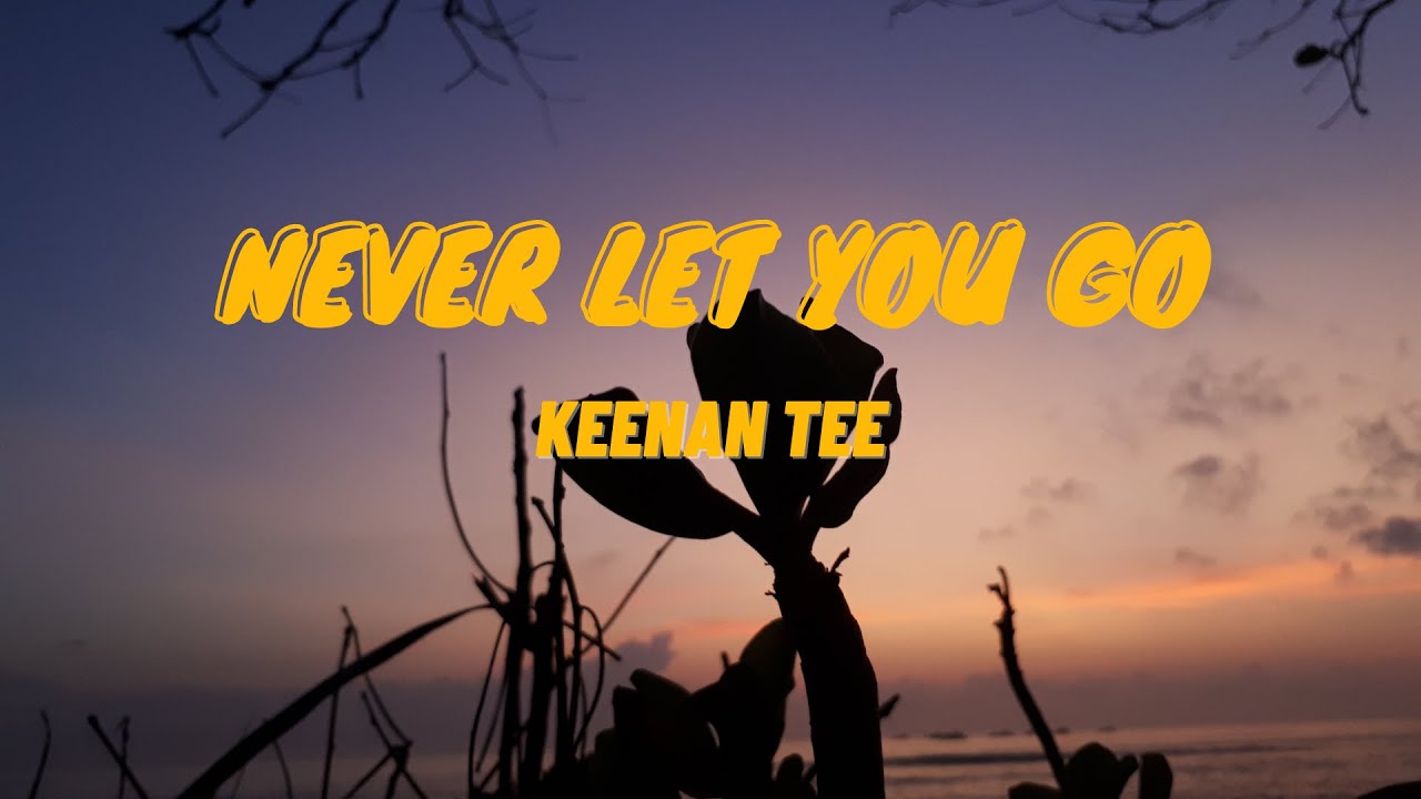 NEVER LET YOU GO ~ KEENAN TEE | LIRIK (LYRICS) - YouTube