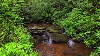 560 Charley's Knob Rd Pisgah Forest NC 28768 | Homes for sale in Pisgah Forest NC