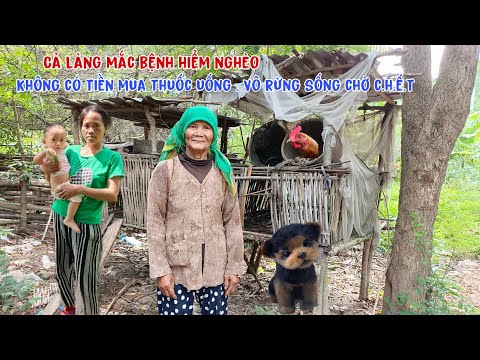 Video Ngôi làng nghèo bị bỏ quên trú ẩn trong rừng sâu, ăn... - youtube