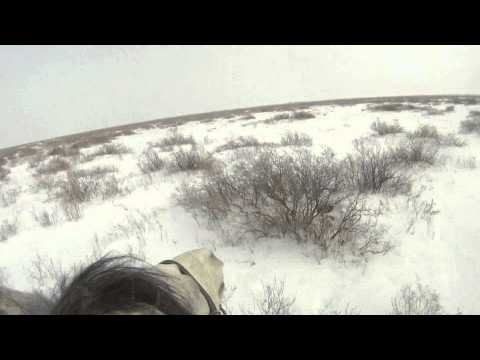 Koyan 1 test