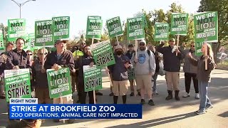Brookfield Zoo Chicago workers go out on strike