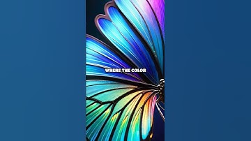 Unveiling Butterfly Wing Colors