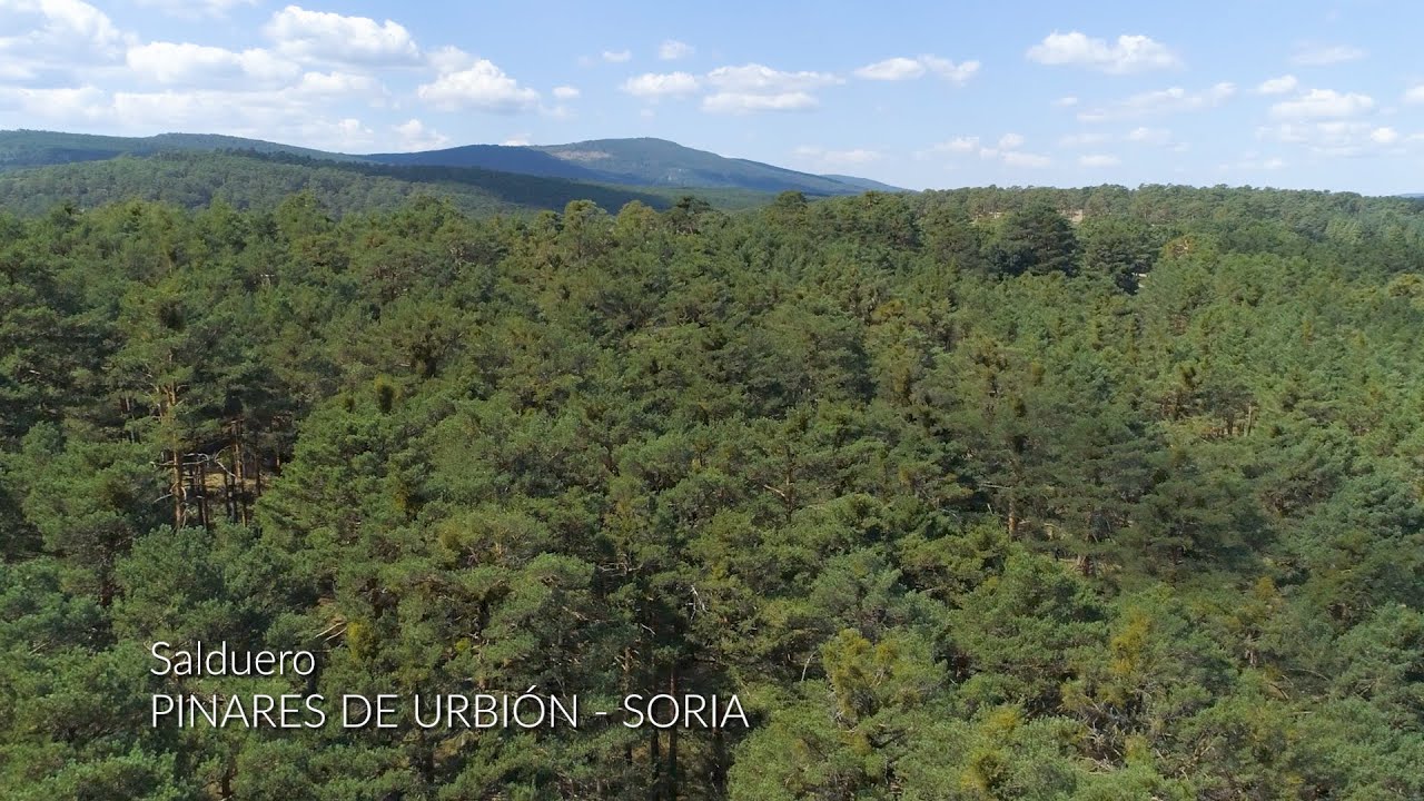 Salduero (El Monte) Pinares de Urbión - Soria