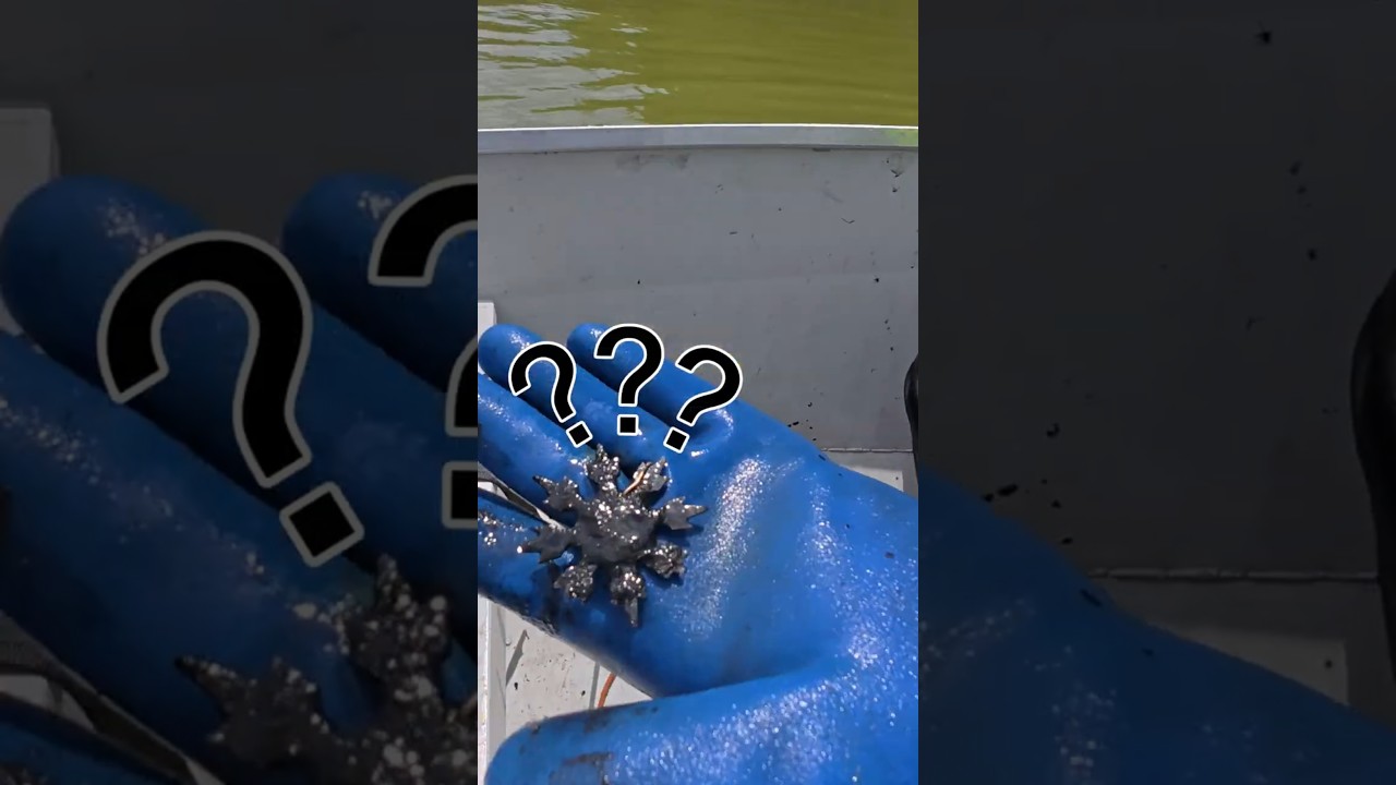 Unbelievable discovery with a magnet   