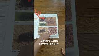 Look Inside DIRT: A Cross-Curricular Science Exploration