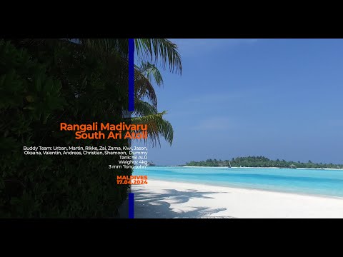 MALDIVES - Dive No. 10 - Rangali Madivaru 2
