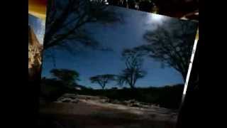 Eurasianeyes..far Off Land New Single Taster