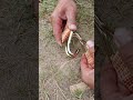 Artefato de fixação de equipamentos de camping - truques de fixação de gancho