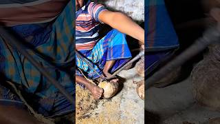 See How To Peel Coconuts Through Digital Mesh