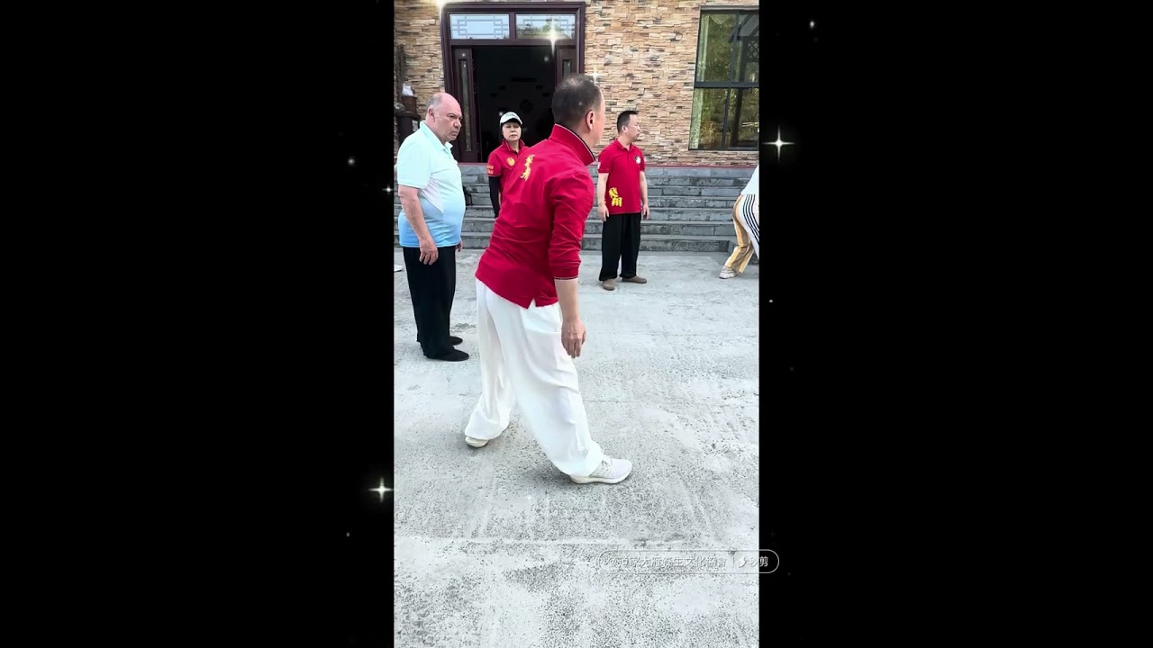 法國#大雁功 愛好者回中國尋根之2 #大雁功后64式 集訓練
