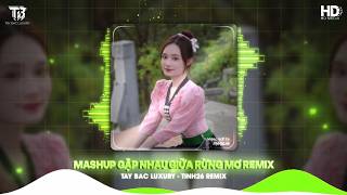 MASHUP GẶP NHAU GIỮA RỪNG MƠ REMIX x VẤN VƯƠNG CHỢ TÌNH REMIX - LK NHẠC TÂY BẮC REMIX HOT TIKTOK