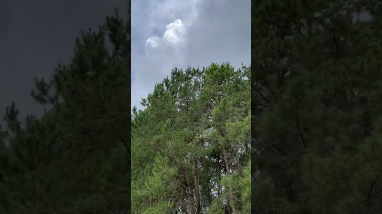 Always find peace and greenery! 