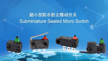 Snap Action Switch Supplier & Micro Switch Supplier