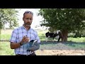 نحو زراعة مستدامة د. عبدالكريم سحاب الدبسا
