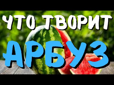 Что ТВОРИТ АРБУЗ с нашим ТЕЛОМ? ПОРАЖАЕТ...