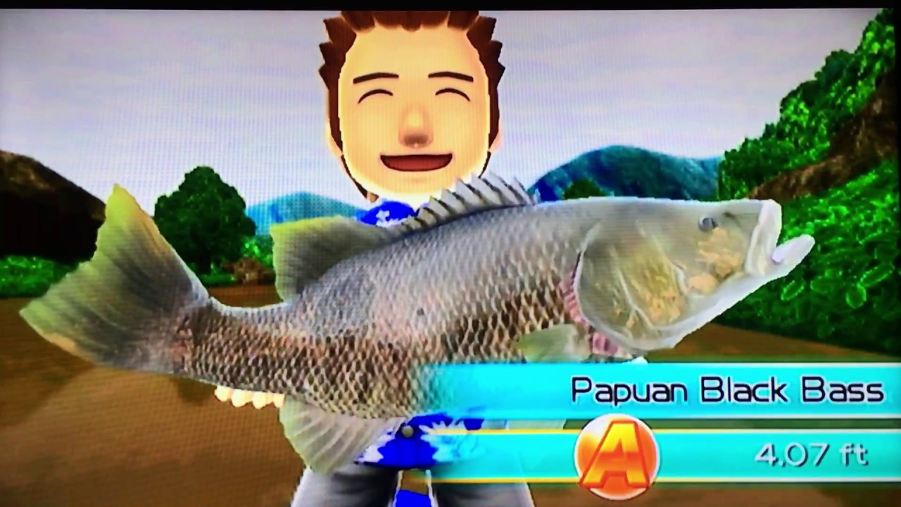 Experts Guide Fishing Resort Wii part 2/8 YouTube