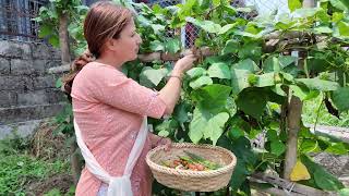 Our kitchen garden