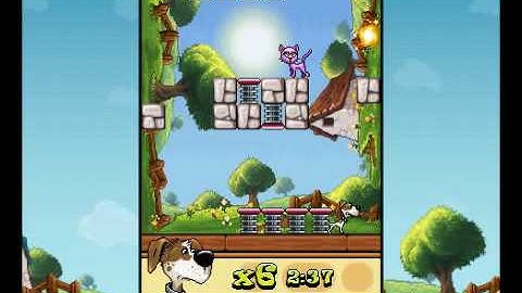 Crazy Cats - GlobalFun