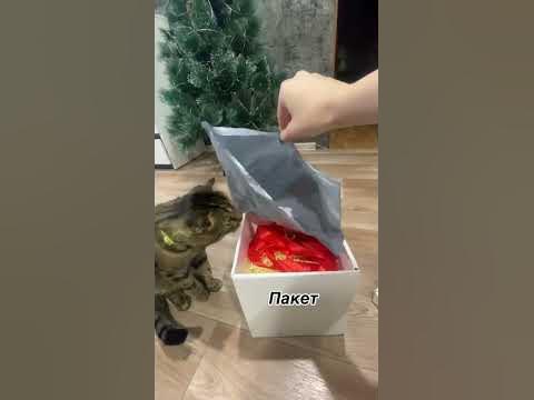 #котики #подарок #коробка #ватныепалочки - YouTube