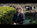 Three Guest Host Spotlight, Cindy Burr Roberts