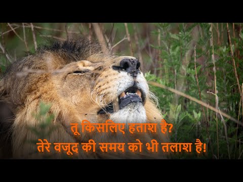 तू किसलिए हताश है? | Hindi Motivation Poem | Tu kisliye Hatash Hai?