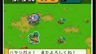 Pokemon Ranger Shadows Of Almia - Optional Quest 5