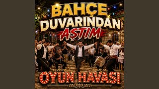 Bahçe Duvarından Aştım