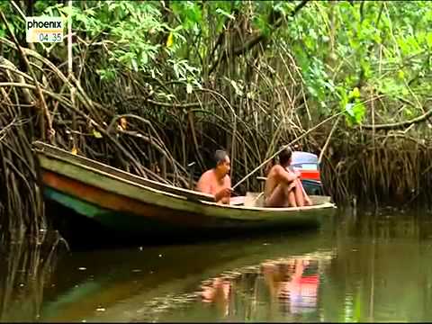 Video: Der Fluss, Der In Den Ozean Mündet - Matador Network