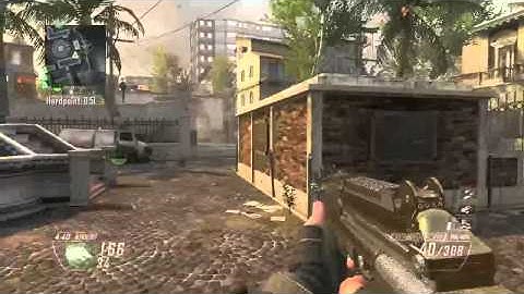 Black Ops 2 - Swarm With Every Gun (MSCS)