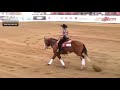 Futurity 2020  gina schumacher  one mr jj score 2235